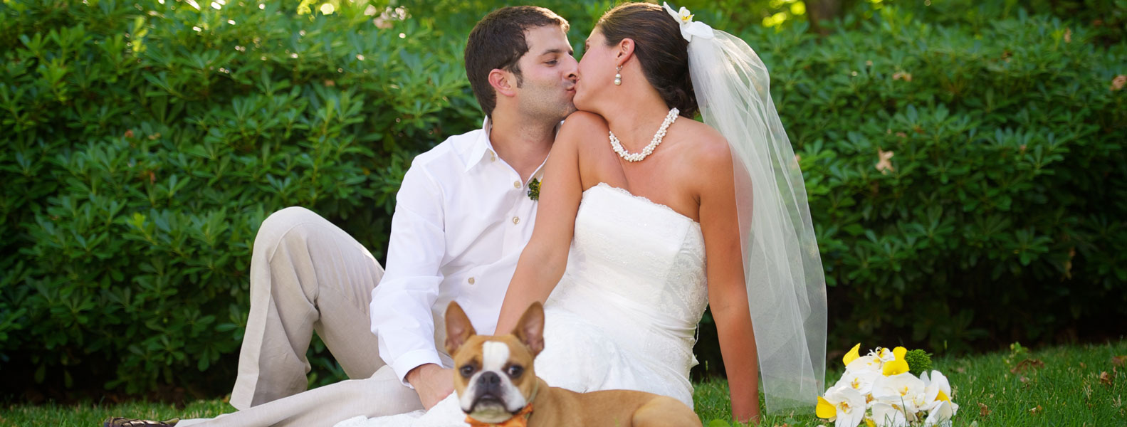 绿色版干净的在线DDOS攻击平台